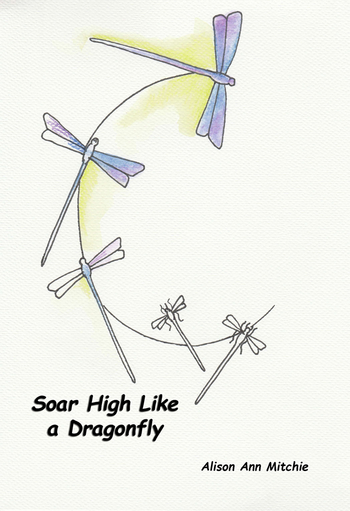 Soar High Like A Dragonfly